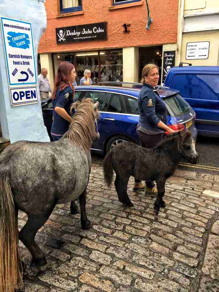 None shall pass – Driving in Cornwall or Why the Bike is Best