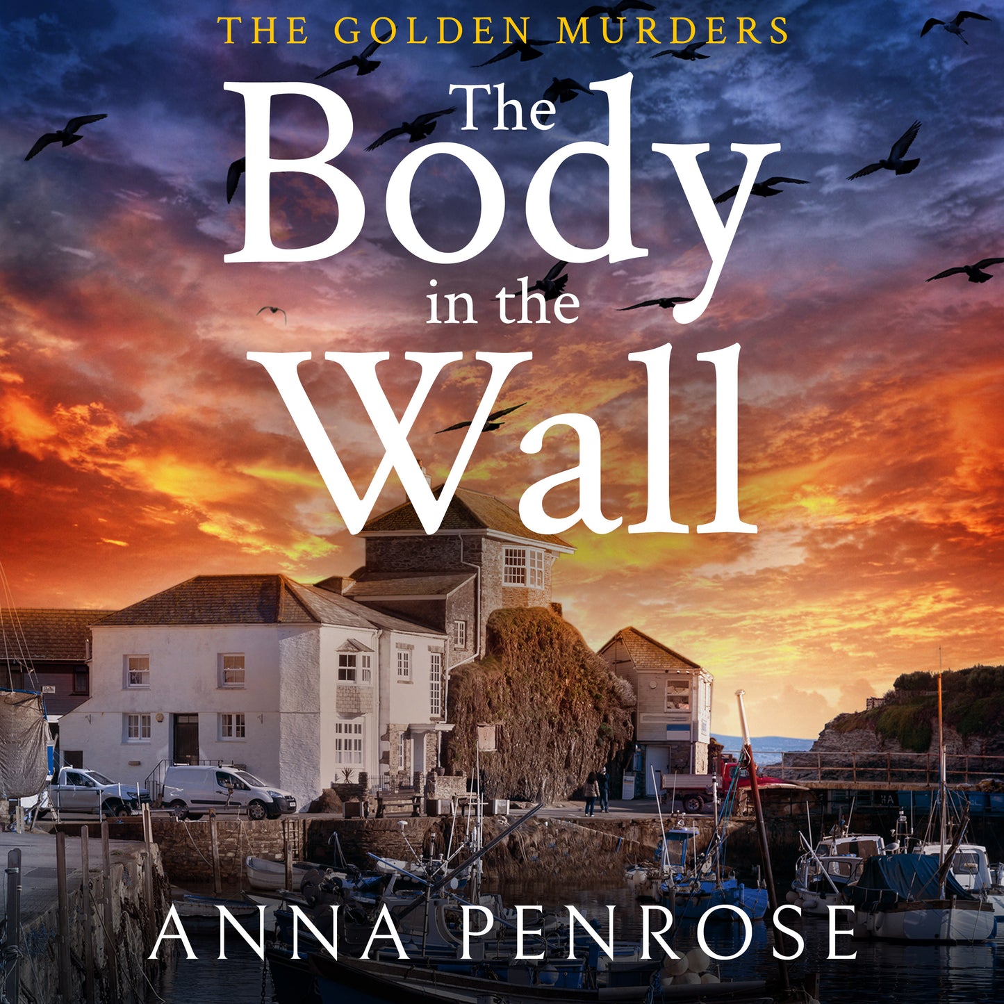 The Body in the Wall - AUDIO BOOK