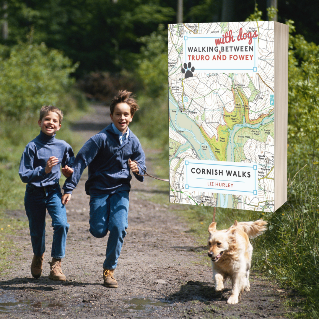 Walking with Dogs between Truro and  Fowey