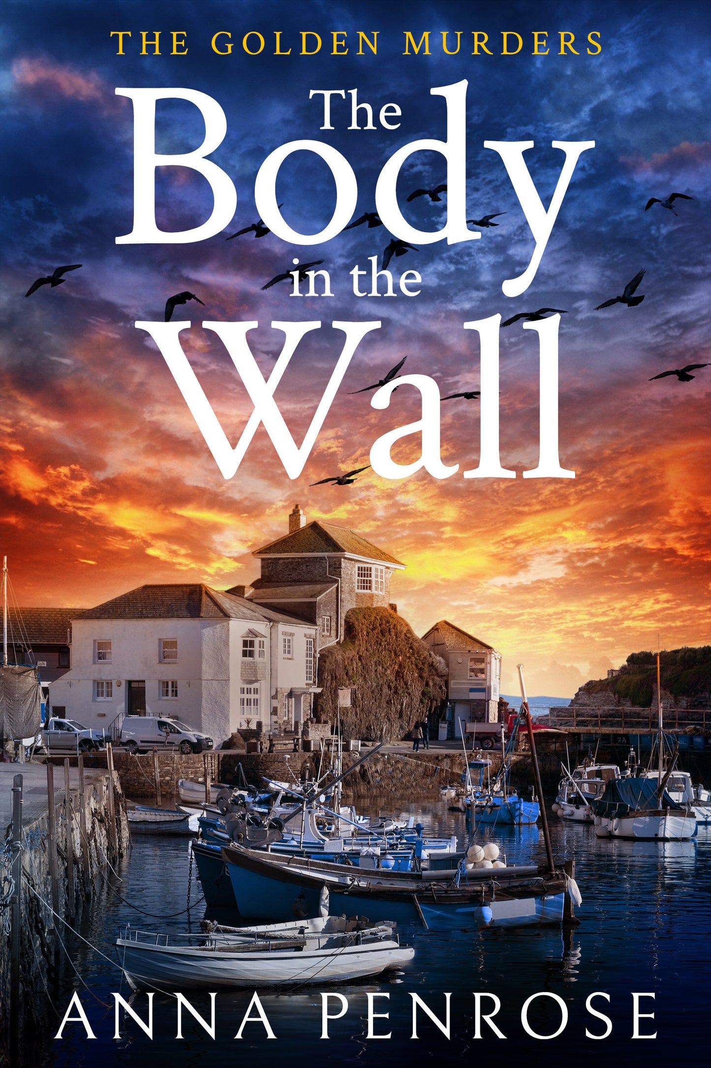 The Body in the Wall - SIGNED & RAPID DISPATCH